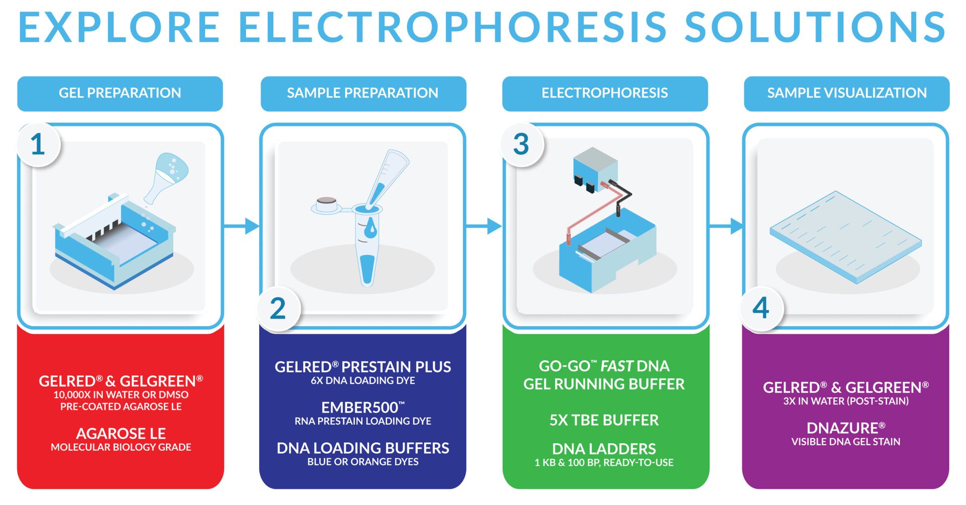 Dive into the world of protein analysis with this image showcasing the power of LDS Sample Buffer in separating and visualizing proteins through SDS-PAGE. See how thermal denaturation and charge control reveal protein profiles! Unveiling Protein Secrets: LDS Sample Buffer in Action During SDS-PAGE